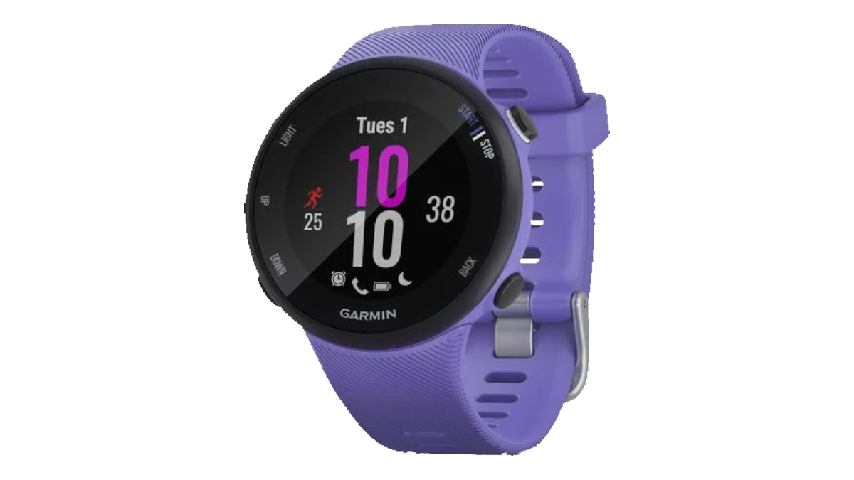 Ремонт смарт-часов  Garmin Forerunner 45s в Новосибирске